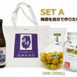 "Gojiro-ume" - Hand-made Umeshu | Wakayama Prefecture | Set A