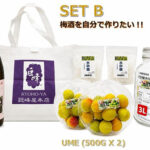 "Gojiro-ume" - Hand-made Umeshu | Wakayama Prefecture | Set B