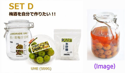 "Gojiro-ume" - Hand-made Ume Syrup | Wakayama Prefecture | Set D
