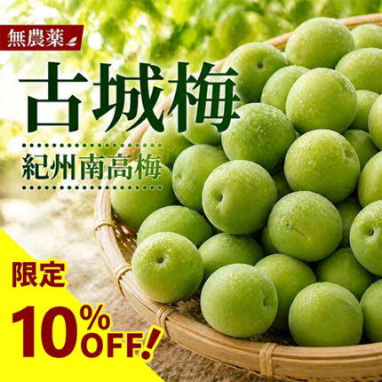 "Gojiro Ume" - Top Premium Green Plum | Wakayama Prefecture | 3L Size 500g