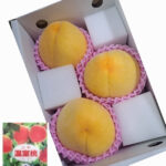 Golden Peach - Kimiko (Premium - Shu Grade) | Yamanashi Prefecture | 3 Pcs