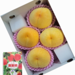 Golden Peach - Kimiko (Premium - Shu Grade) | Yamanashi Prefecture | 4 Pcs