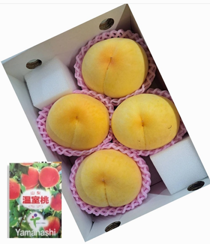 Golden Peach - Kimiko (Premium - Shu Grade) | Yamanashi Prefecture | 4 Pcs