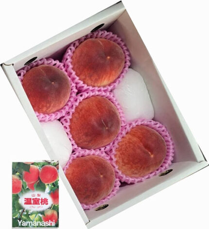 House Grown Peach "HANAYOME" | Yamanashi Prefecture | 5 Pcs