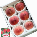 House Grown Peach "HANAYOME" | Yamanashi Prefecture | 6 Pcs
