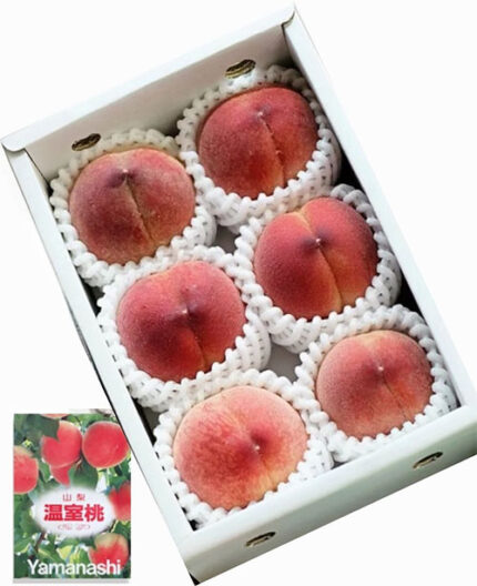 House Grown Peach "HANAYOME" | Yamanashi Prefecture | 6 Pcs