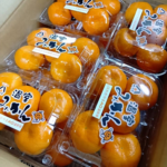 House Mikan (Akashu Grade) | Wakayama Prefecture