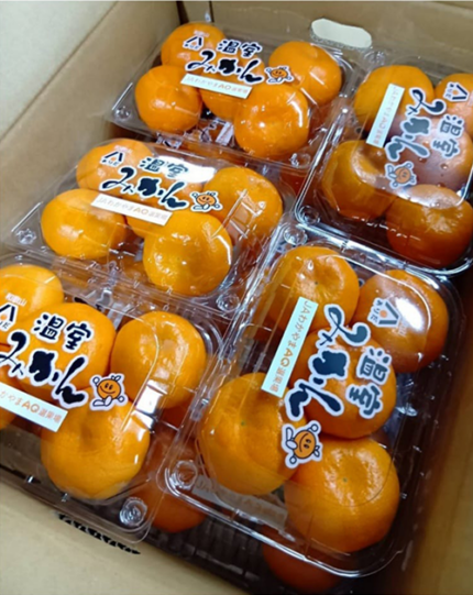 House Mikan (Akashu Grade) | Wakayama Prefecture