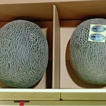 Hyugo Green Melon (Premium Shu Grade) | Kumamoto Prefecture