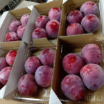 Kiyo Plum (Top Quality ) | Yamanashi Prefecture | 4 Pcs