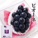 Pione Grapes (Seedless) | Nagano Prefecture | 500g