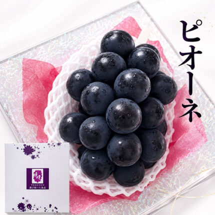 Pione Grapes (Seedless) | Nagano Prefecture | 500g