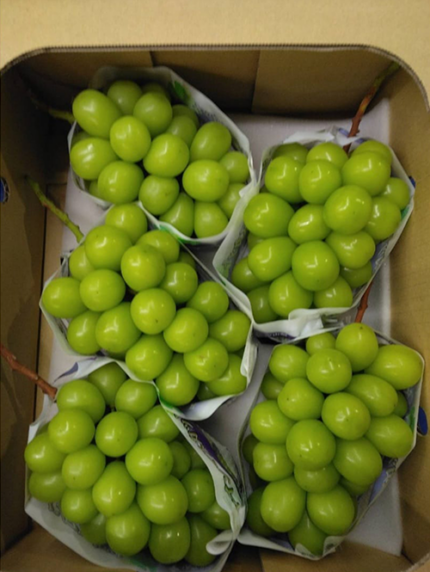 Shine Muscat Grapes | Tokushu Grade | 600g