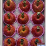 Special Selected Sun Fuji Apple (High Sugar Level with Honey) | Aomori Prefecture | 3L Size 12 Pcs