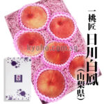 Ichitosho (Yatsushiro) - Premium (Ichinomiya) (Hikawa Variety) | Yamanashi Prefecture | 2L Size 6 Pcs 310g