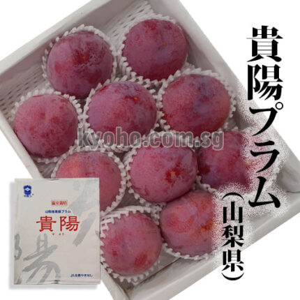 Kiyou Plum (Top Quality) | Yamanashi Prefecture | 10 Pcs