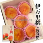House Grown Peach Hikawa Hakuhou variety | Saga Prefecture | 5 Pcs