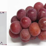 Aki Queen Grapes | Okayama Prefecture