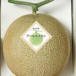 Arus Melon | Kumamoto Prefecture | 5L Size