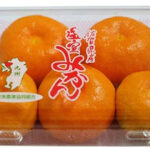 House Mikan | Saga Prefecture