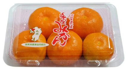 House Mikan | Saga Prefecture