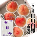 Ichitosho (Yatsushiro) - Premium (Ichinomiya) (Hikawa Variety) | Yamanashi Prefecture | 2L Size 6 Pcs