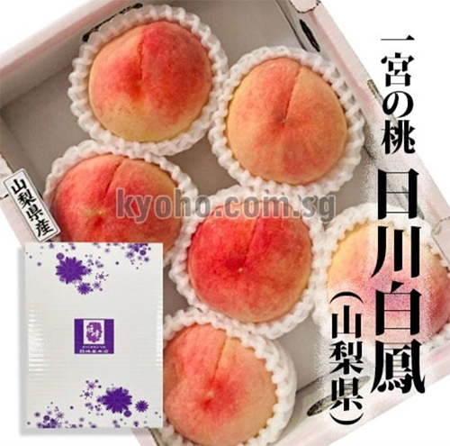 Ichitosho (Yatsushiro) - Premium (Ichinomiya) (Hikawa Variety) | Yamanashi Prefecture | 2L Size 6 Pcs