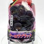Orola Black Grapes | (Seedless) | Okayama Prefecture | 550g-600g