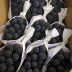 Pione - From Yame (Seedless) | Akashu Grade | Fukuoka Prefecture | 550g