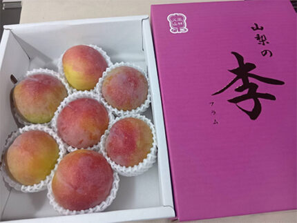 Summer Angel Plum (Premium Grade) | Yamanashi Prefecture | 7 Pcs
