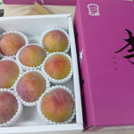 Summer Angel Plum (Premium Grade) | Yamanashi Prefecture | 8 Pcs