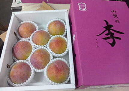 Summer Angel Plum (Premium Grade) | Yamanashi Prefecture | 8 Pcs