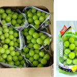 Takumi Shine Muscat Grapes | Premium Quality | Aoshu Grade | Yamanashi Prefecture | 500g