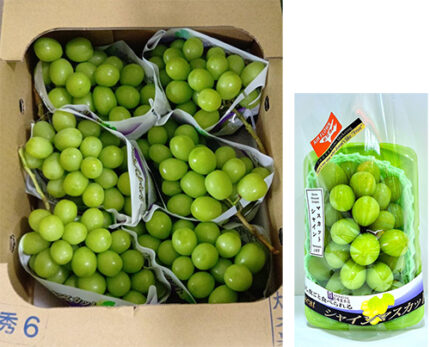 Takumi Shine Muscat Grapes | Premium Quality | Aoshu Grade | Yamanashi Prefecture | 500g