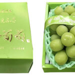Takumi Shine Muscat Grapes | Premium Quality | Tokushu Premium Grade | Yamanashi Prefecture | 700g