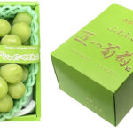 Takumi Shine Muscat Grapes | Premium Quality | Shu Grade | Yamanashi Prefecture | 700g
