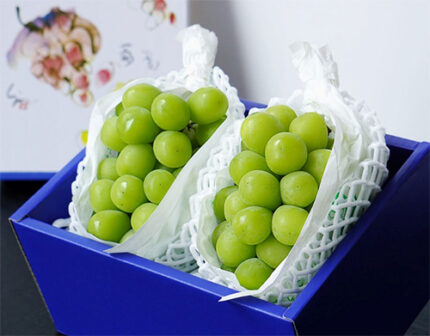 Takumi Shine Muscat Grapes | Premium Quality | Shu Grade | Yamanashi Prefecture | 2 bunch 600g