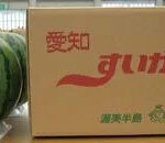 Watermelon - Aichi "Minami" Special Grown | Aichi Prefecture