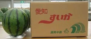 Watermelon - Aichi "Minami" Special Grown | Aichi Prefecture