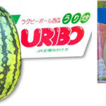 Watermelon - Uribo | Nagasaki Prefecture