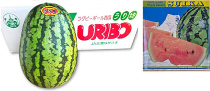 Watermelon - Uribo | Nagasaki Prefecture