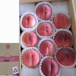 Alps Bijin Ex | Yamanashi Prefecture | 10 Pcs