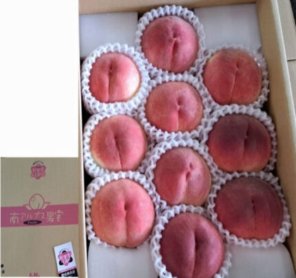 Alps Bijin Ex | Yamanashi Prefecture | 10 Pcs