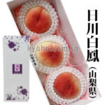 Ichitosho (Yatsushiro) - (Hikawa Variety) | Yamanashi Prefecture | 4L Size 3 Pcs