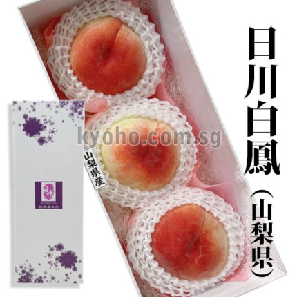 Ichitosho (Yatsushiro) - (Hikawa Variety) | Yamanashi Prefecture | 4L Size 3 Pcs