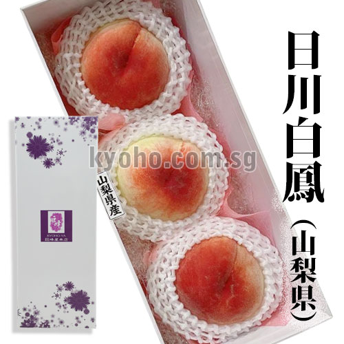 Ichitosho (Yatsushiro) - (Hikawa Variety) | Yamanashi Prefecture | 4L Size 3 Pcs