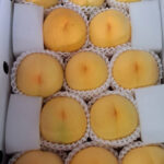 Golden Peach | Yamanashi Prefecture | 13 Pcs