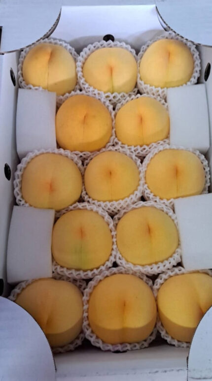 Golden Peach | Yamanashi Prefecture | 13 Pcs