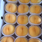 Golden Peach | Yamanashi Prefecture | 15 Pcs