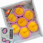 Golden Peach - Kimiko (Premium - Shu Grade) | Yamanashi Prefecture | 7 Pcs